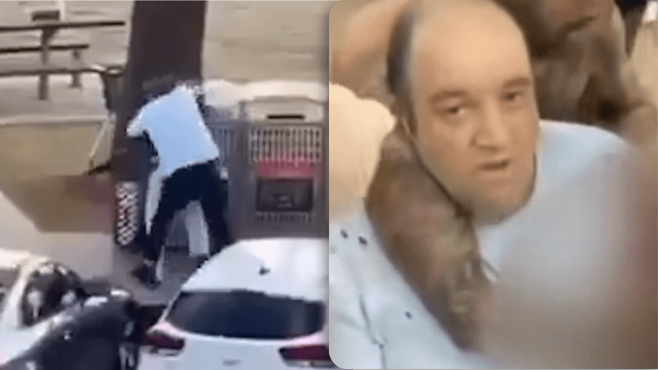 Hij "redde vele levens" door zich op een van de schutters te werpen: wat weten we al over de held van Bondi Beach?