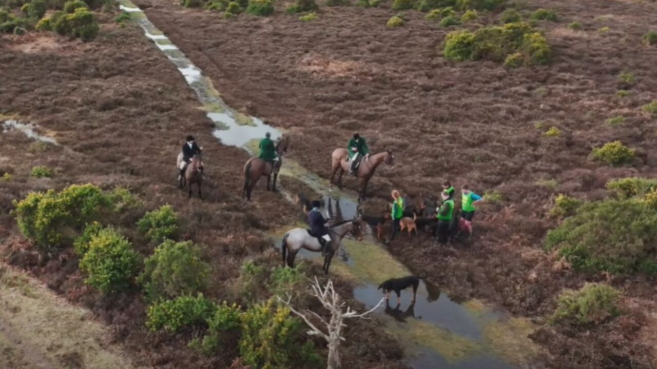 Britse jagers vervangen vossen door vrijwillige trailrunners: "Ze krijgen kwartier voorsprong op de paarden en bloedhonden"