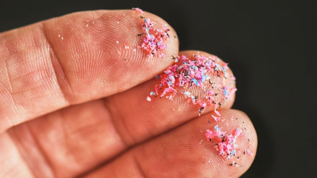 Hoeveel microplastics zitten nu écht in ons lichaam? Studies die ze in hersenen, bloed en teelballen vonden, liggen onder vuur