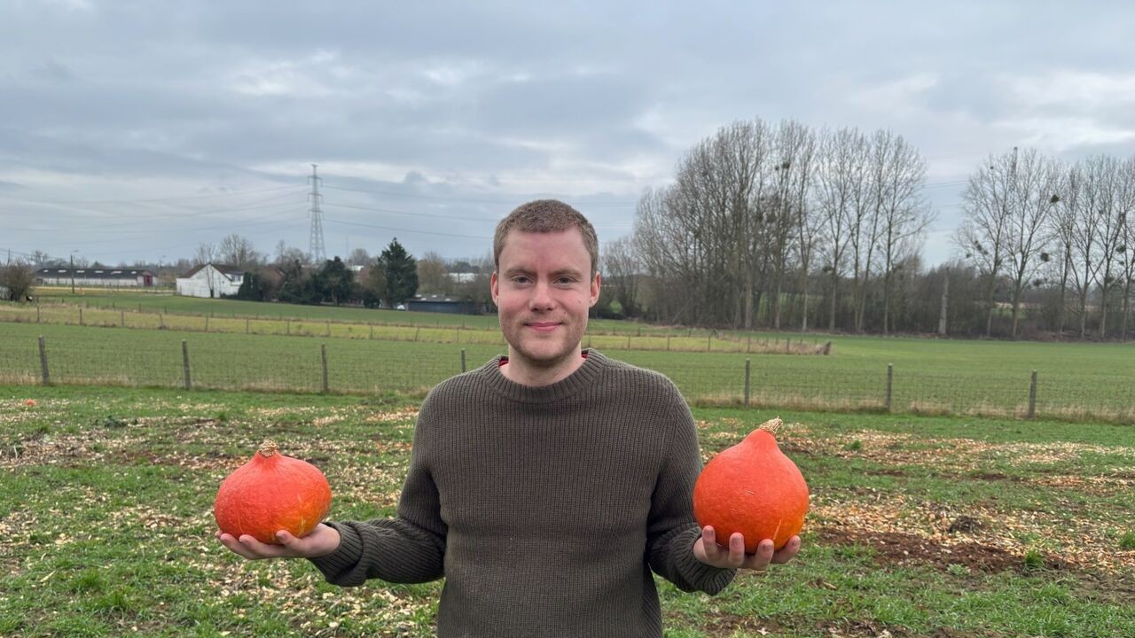 Wie redt boer Jasper uit Sint-Pieters-Leeuw met zijn overschot van 40.000 kilogram pompoenen?