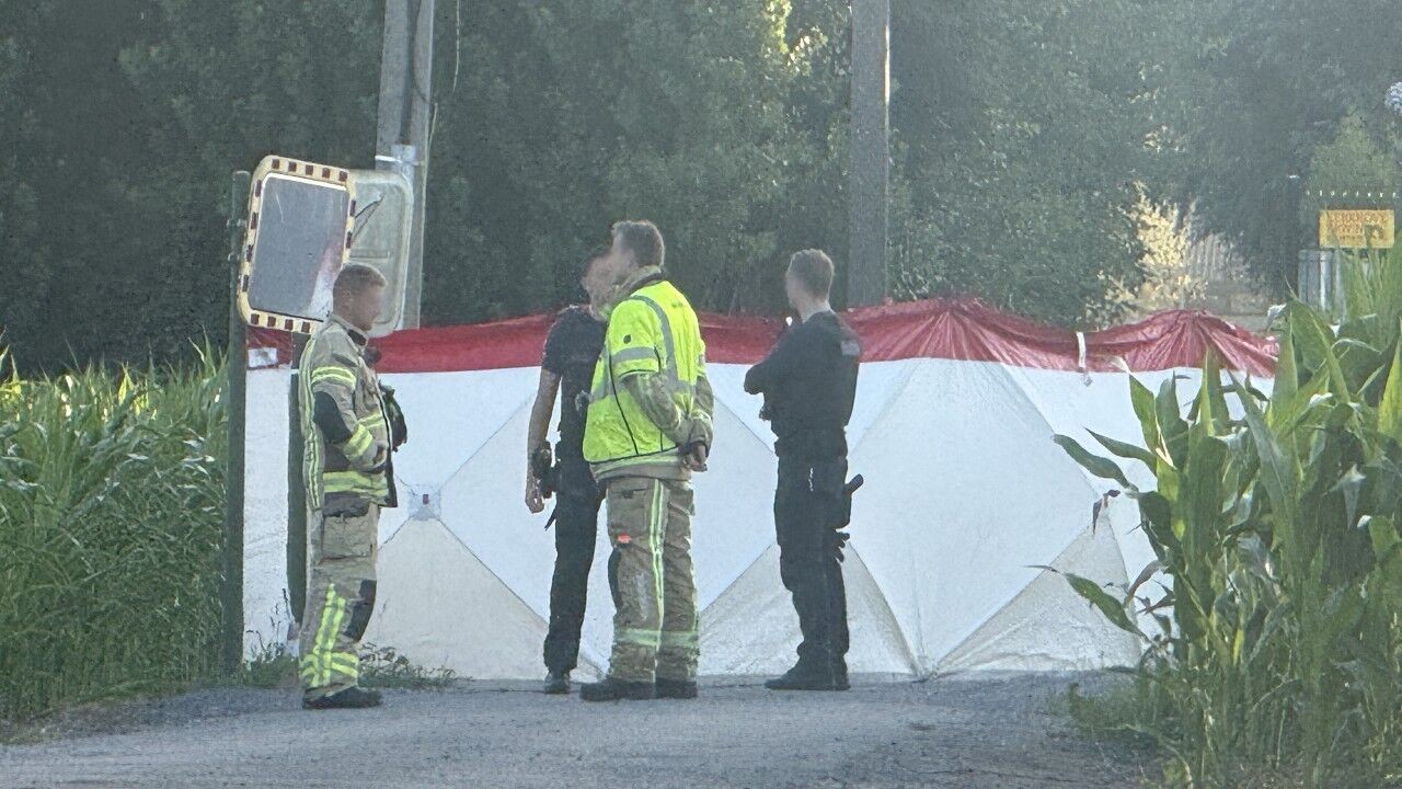 61-jarige man uit Veldegem bezwijkt aan verwondingen na val met speedpedelec: "Vermoedelijk zeer ongelukkig ten val gekomen"