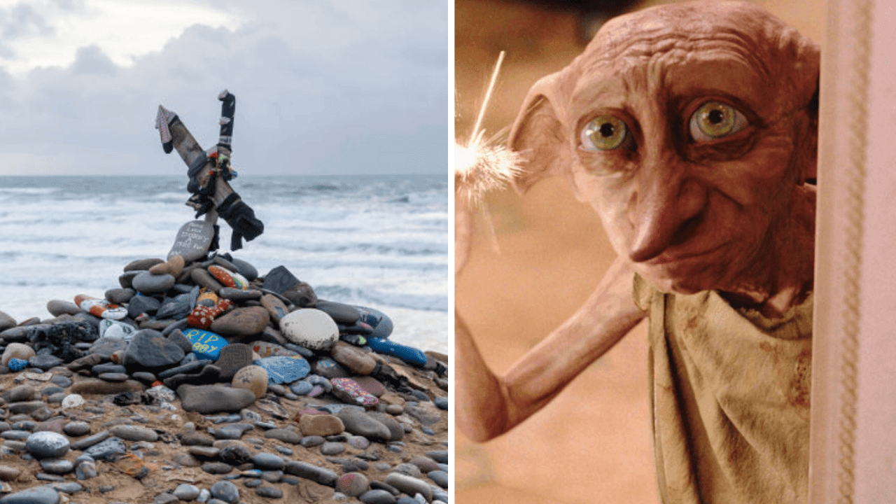 Harry Potter-fans stoppen aanleg van belangrijke elektriciteitskabel door 'graf' van Dobby