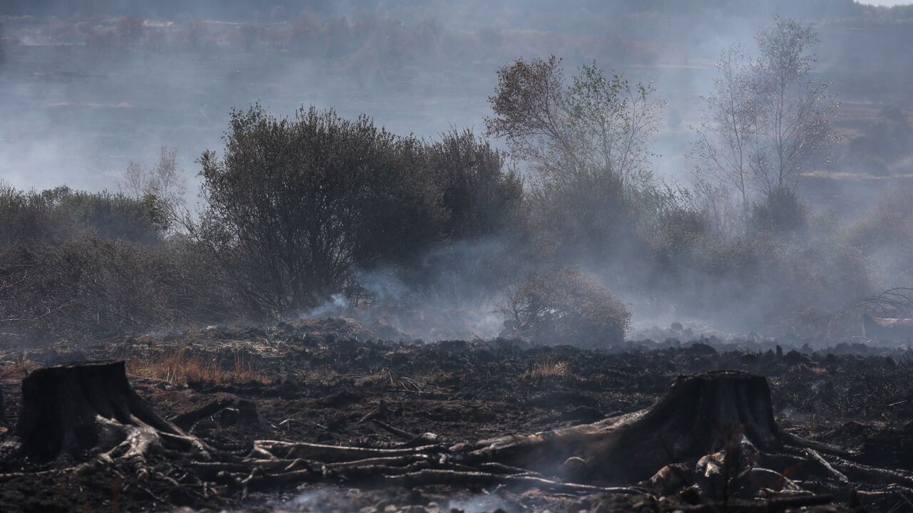 Regen helpt nauwelijks: zo kan veenbrand maandenlang onzichtbaar blijven woeden