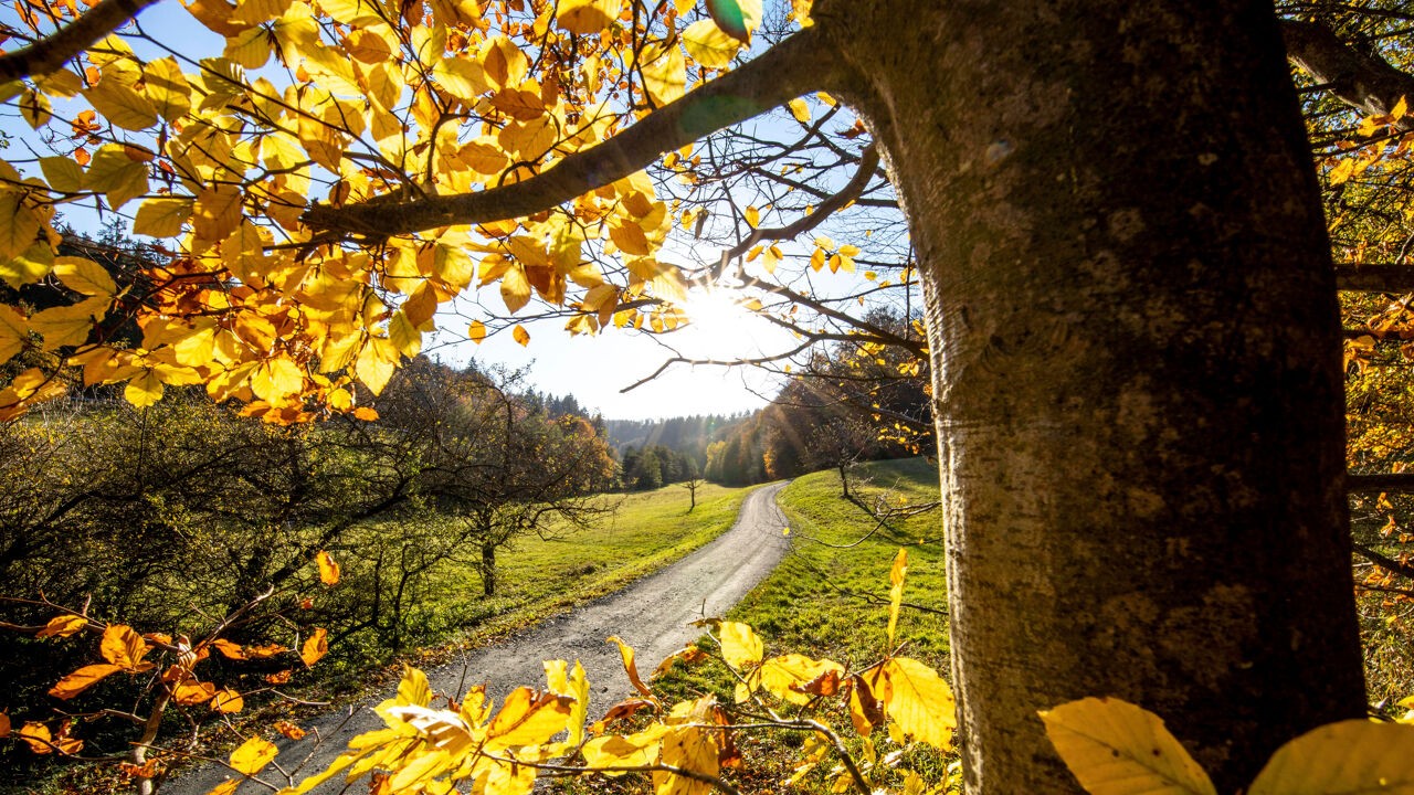 Kwik zakte vannacht maar tot 12 graden: "Zachte oceaanlucht trekt over"