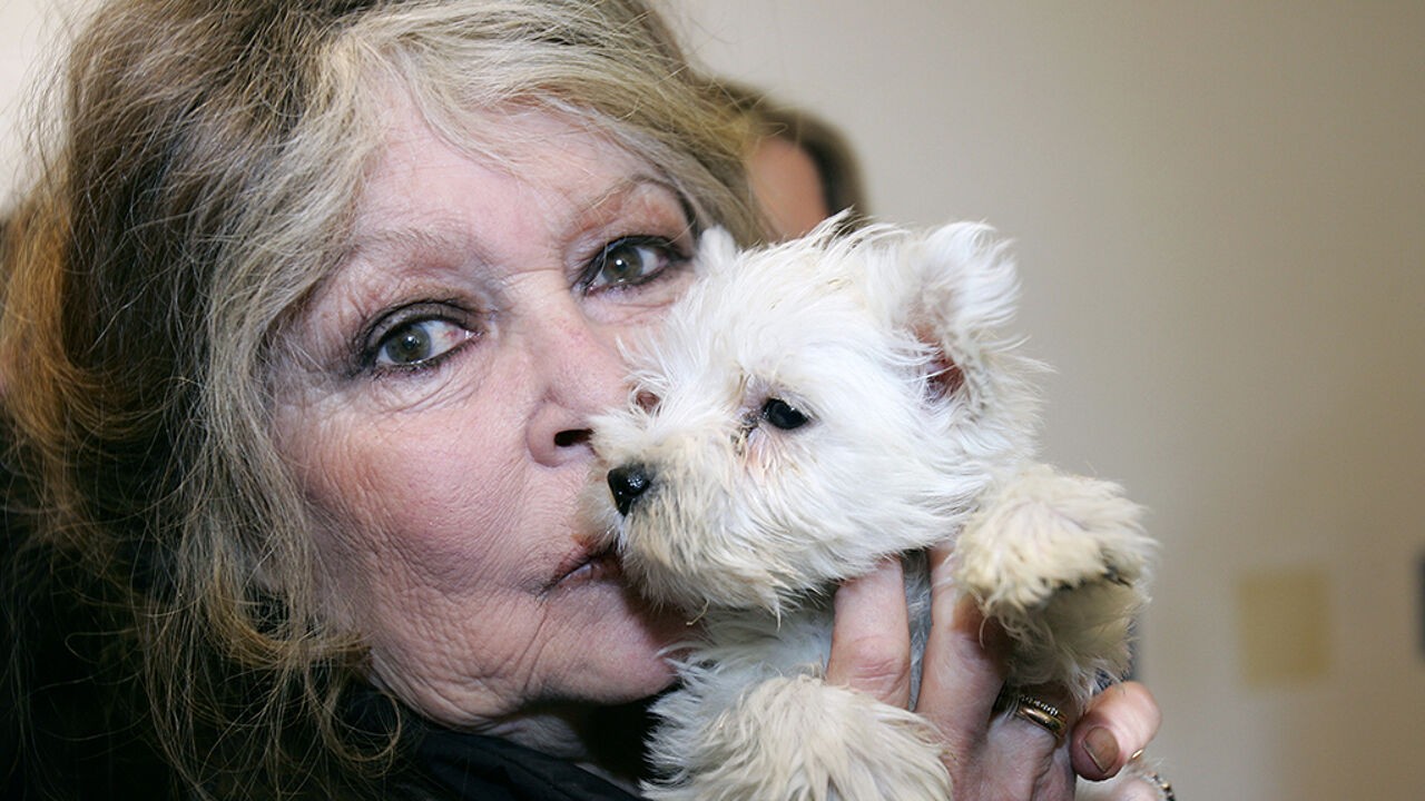 "Een legende van de eeuw": Frankrijk rouwt om overlijden van Brigitte Bardot
