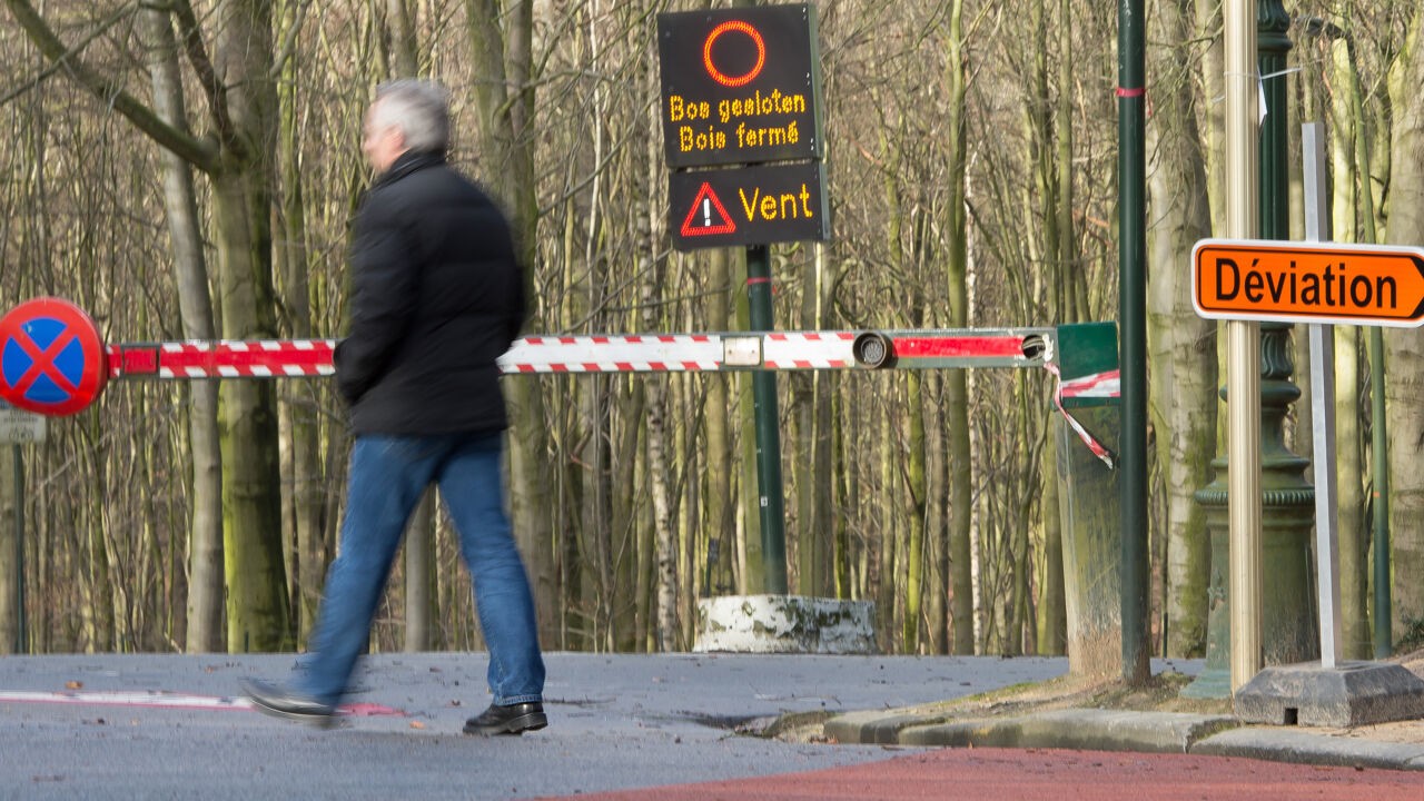 Vanavond al hevige periodes regen en wind door Goretti, parken en bossen in Brussel preventief dicht