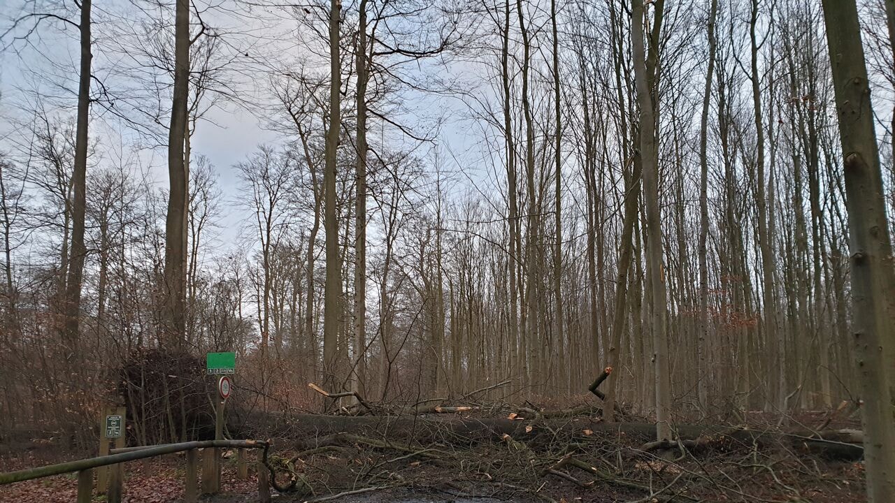 KMI verwacht krachtige windstoten, 161.000 gezinnen zonder stroom in Frankrijk