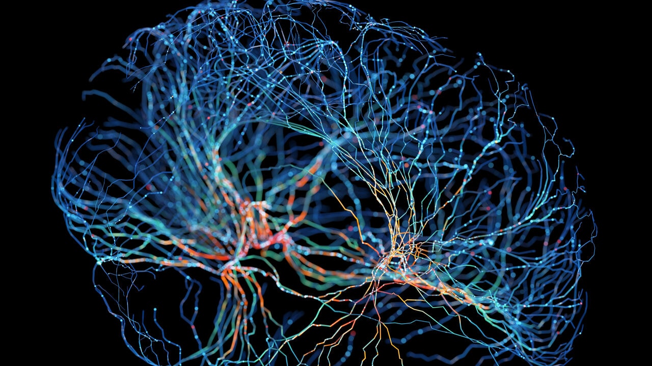 'Lichtschakelaar' die meer inzicht geeft in depressie, verslaving en angst is goed voor Nobelprijs Geneeskunde