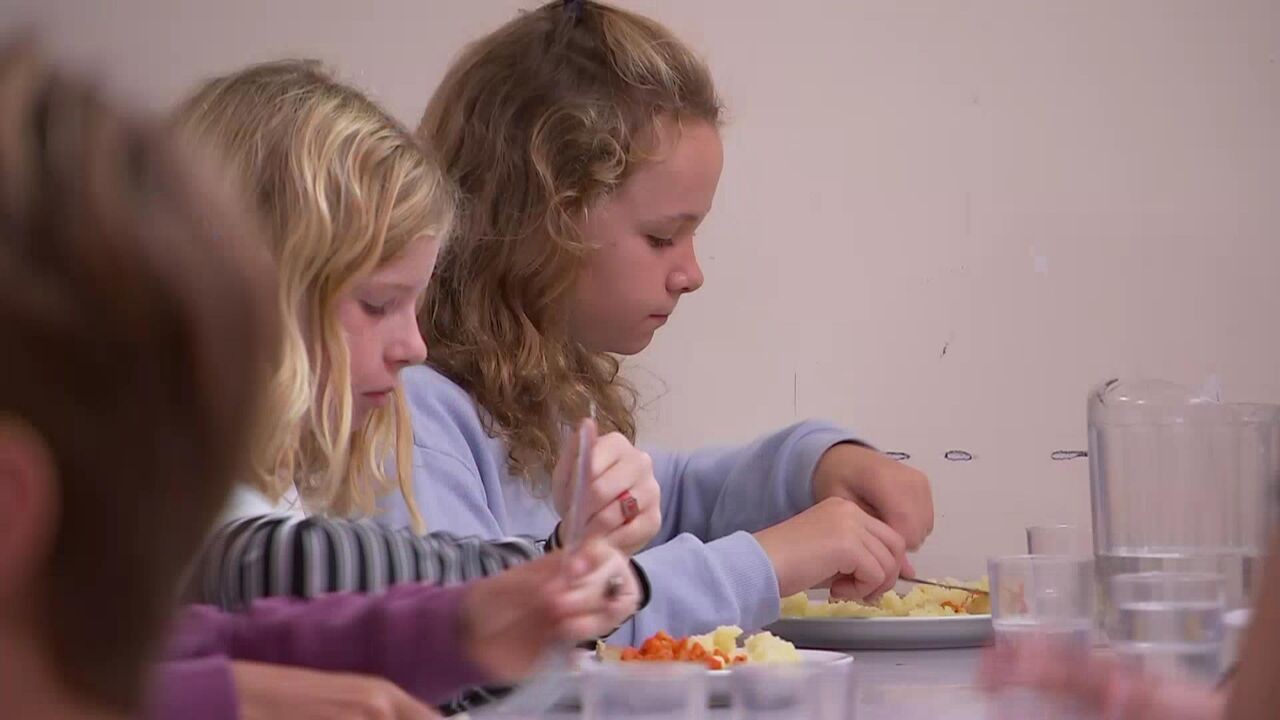 Gezonde voeding op school moet boost krijgen: minister Gennez wil drempel verlagen voor scholen en gemeenten