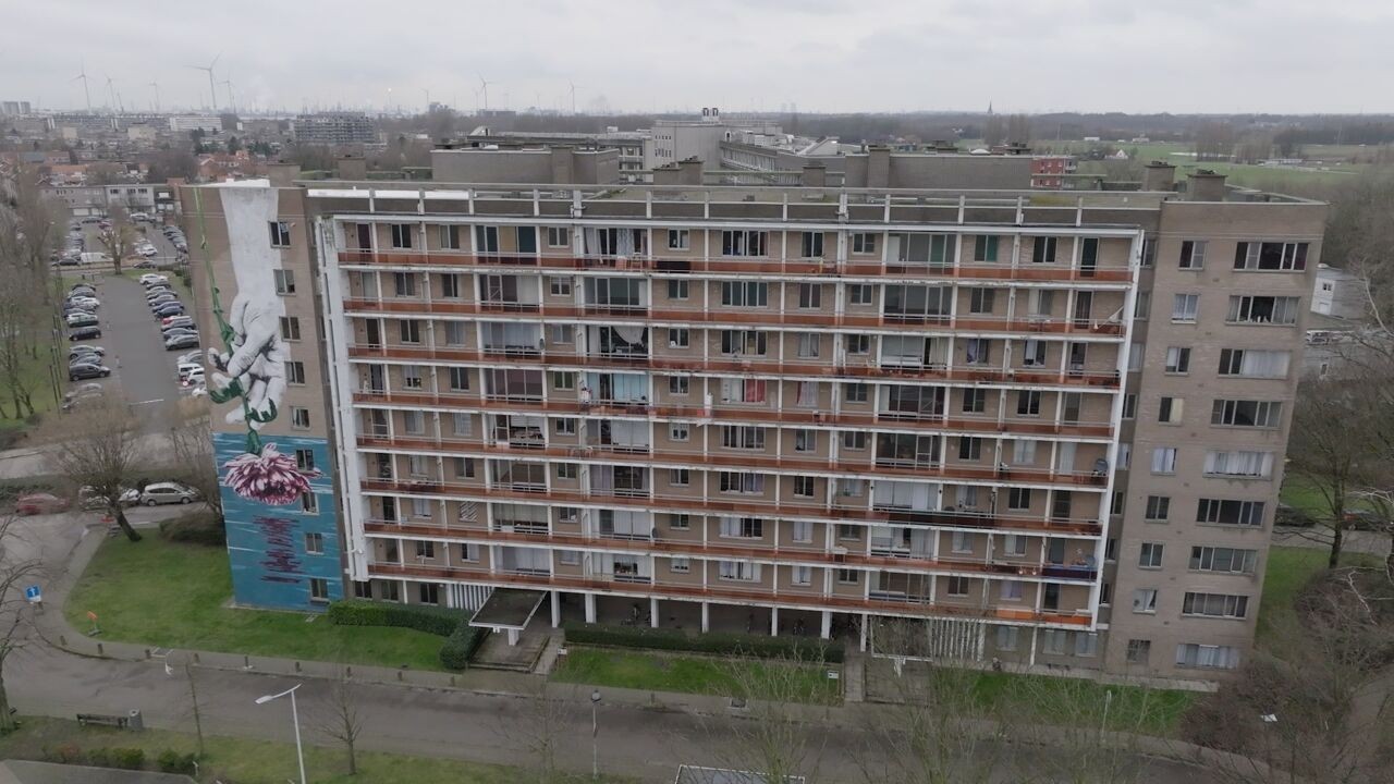 Driekwart van gezinnen met laag inkomen houdt te weinig over na woonkosten: "Nog 500 euro over om van te leven"