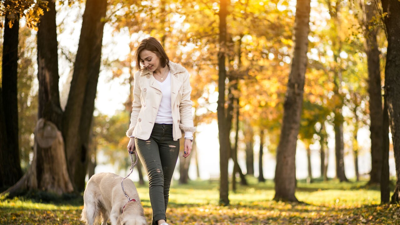 Hou je je hond niet aan de leiband? Dat kan je een boete tot 350 euro opleveren