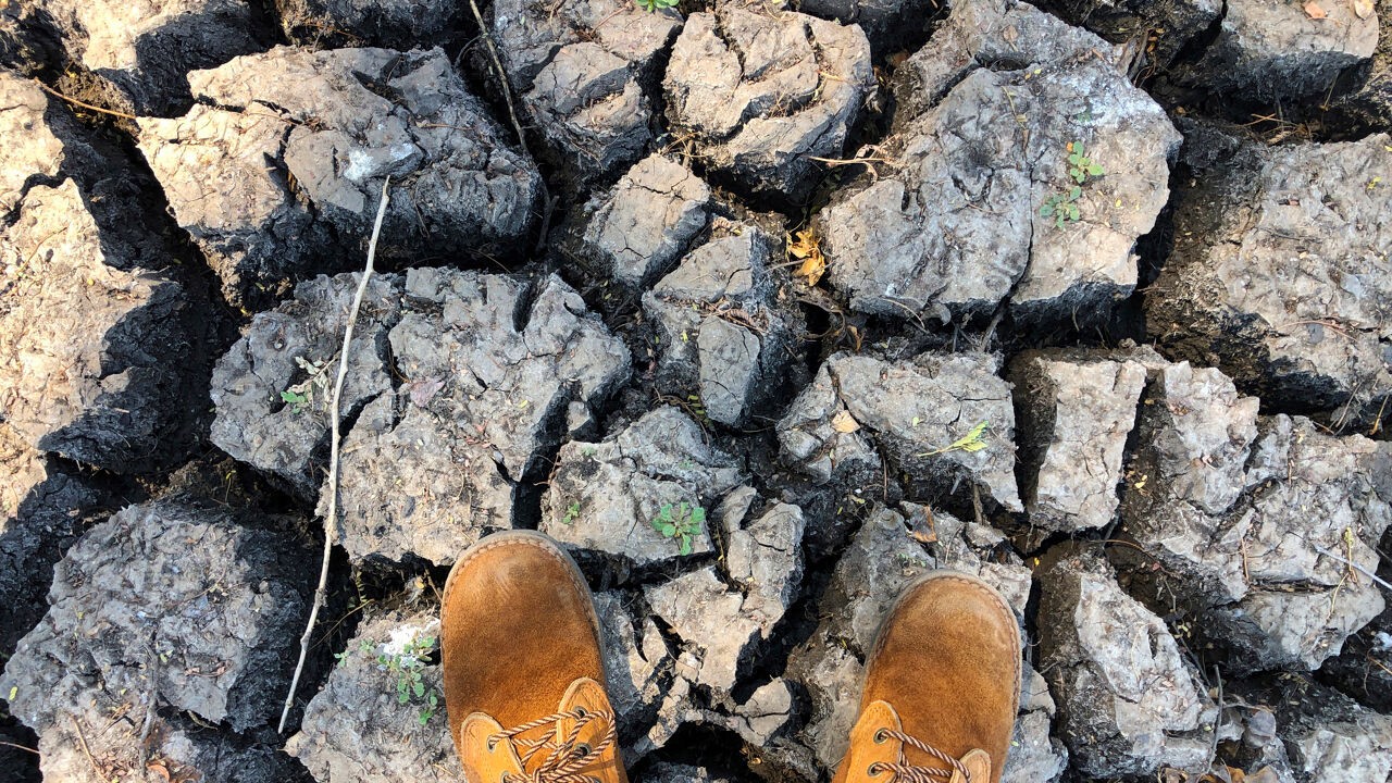 Komt een super-El Niño het weer verstoren? "Staat zo goed als vast dat we een redelijk intense versie krijgen"