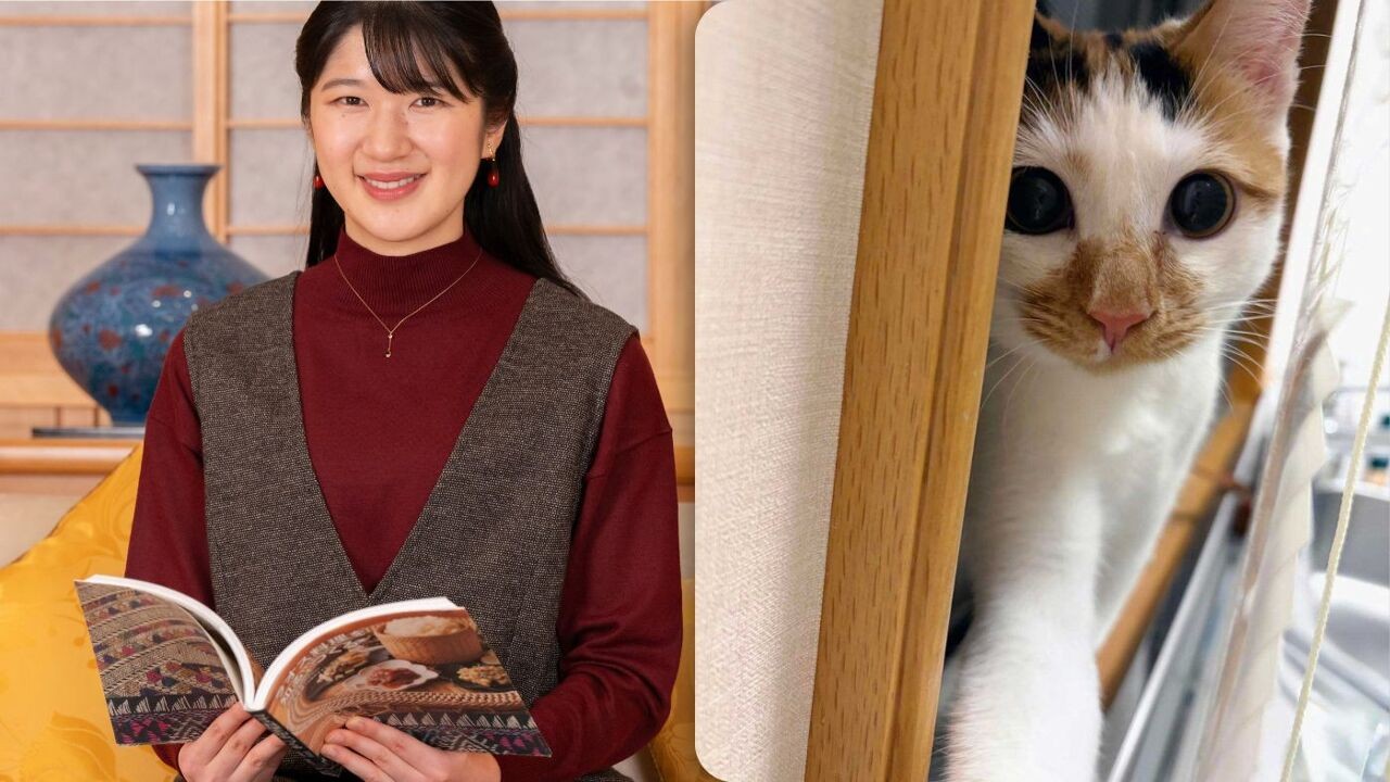 Slim, geestig en een kattenvriend: Japanse prinses Aiko is 24 en lijkt populairder dan ooit