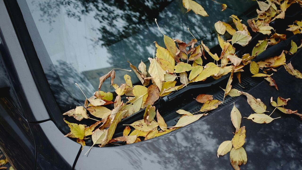 Wisselvallig weekend met buien en wind, maar opvallend zachte temperaturen