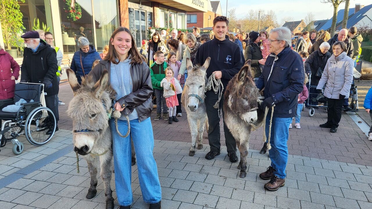 Drie ezels nemen hun intrek in levende kerststal in Retie: "Ze zijn tevreden, dat zie ik aan hun oren"