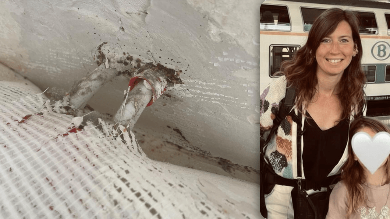 Huis van alleenstaande moeder Tina uit Hasselt onbewoonbaar door bedwantsen: "Kosten lopen op tot duizenden euro's"