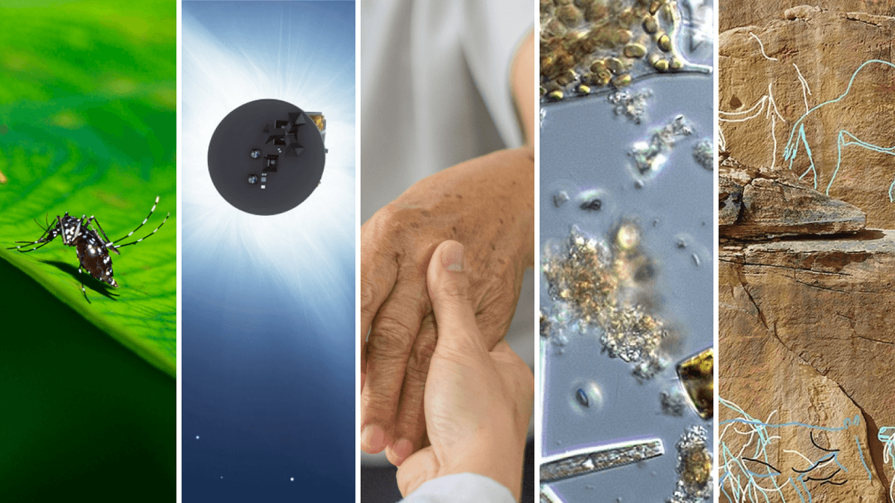 Hoop voor alzheimerpatiënten, huzarenstukje uit België in de ruimte en geile kiezelwieren: dit was 2025 in de wetenschap