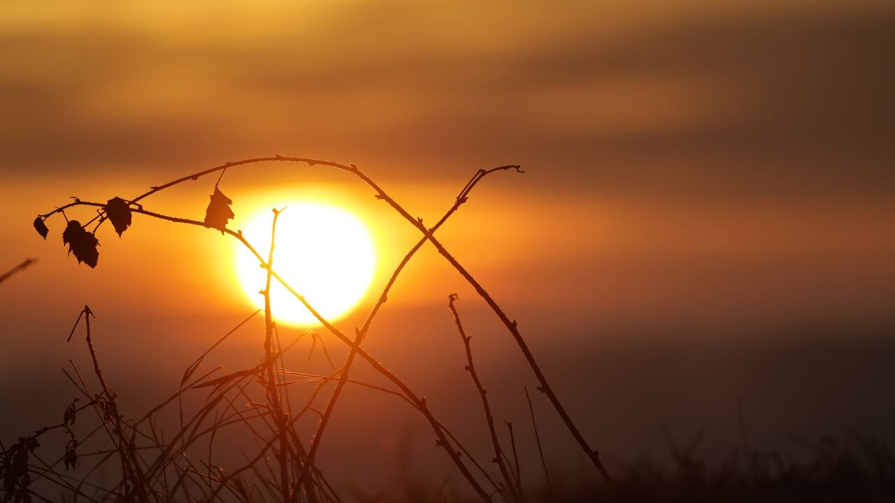 Langste nacht van het jaar maakt plaats voor meer licht, weerman Bram: "Winnen nu al halve minuut per avond"