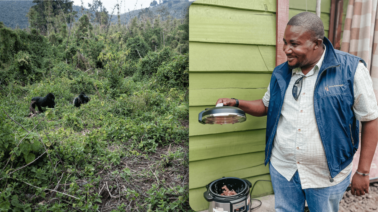 UAntwerpen deelt snelkookpannen uit in Oost-Congo om ontbossing tegen te gaan
