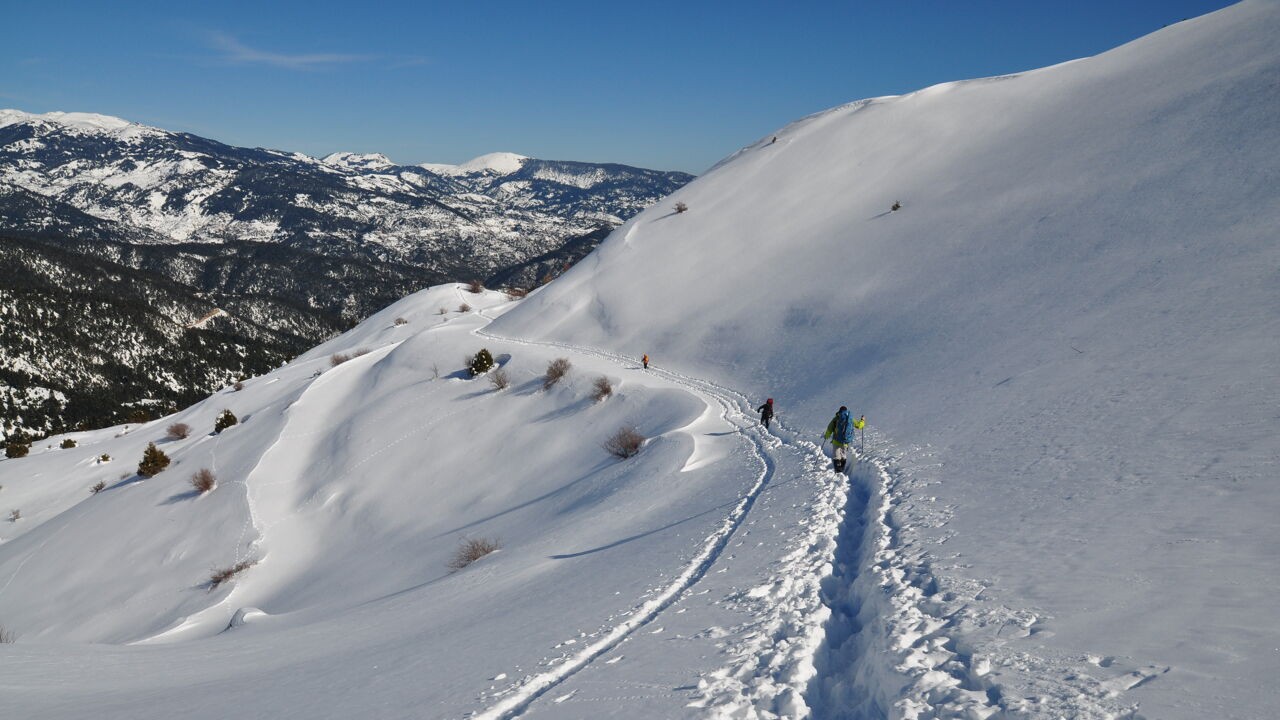 Vier wandelaars in Griekenland omgekomen door lawine