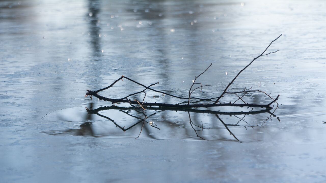 Brandweer redt 2 tieners die door ijs zakten in Diepenbeek: "Onderkoeld maar ongedeerd"