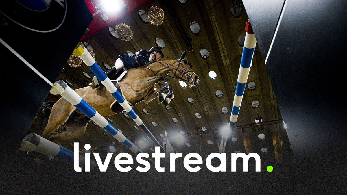 LIVESTREAM: Strijdt een Belg mee om de zege in de jumping van Mechelen?