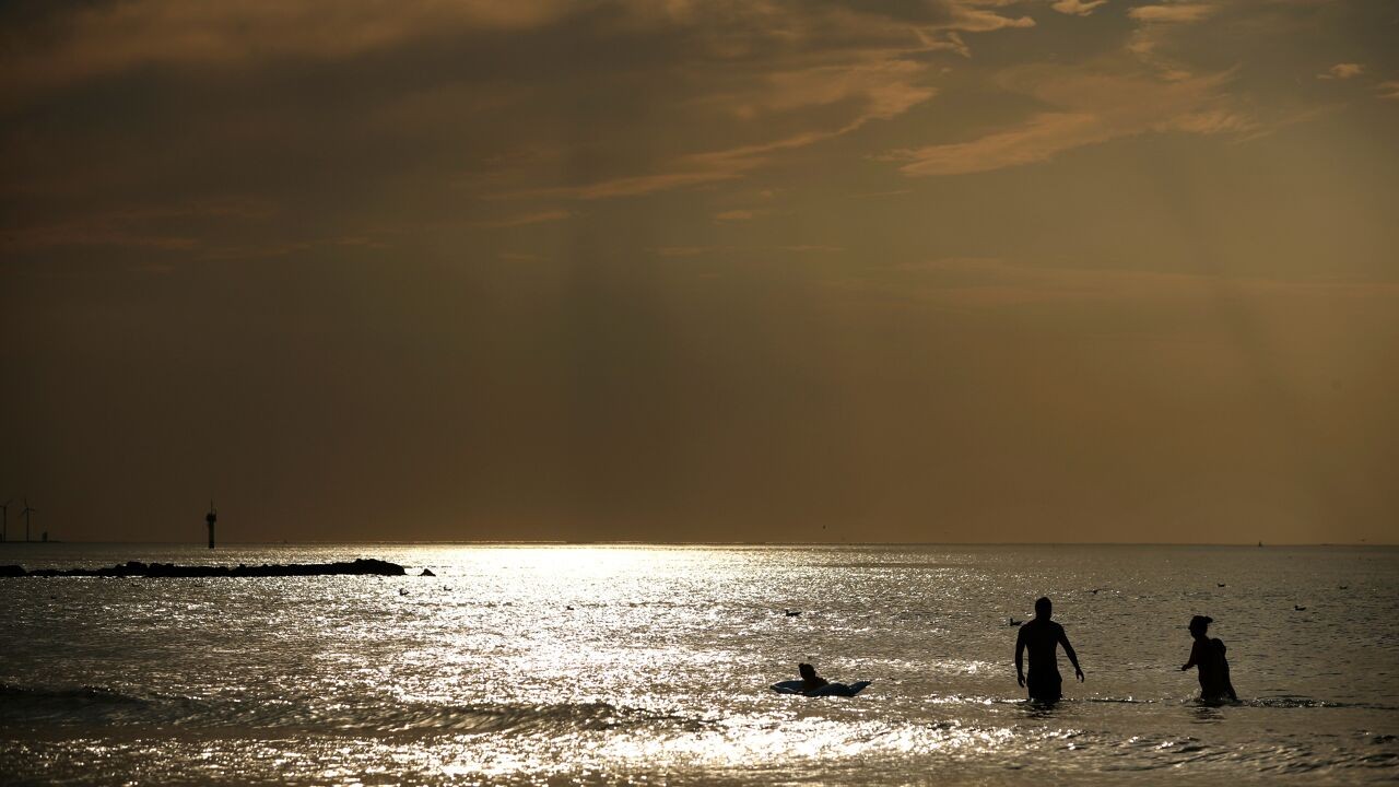 Noordzee wordt steeds "zuidelijker": warmste gemiddelde watertemperatuur gemeten in 2025