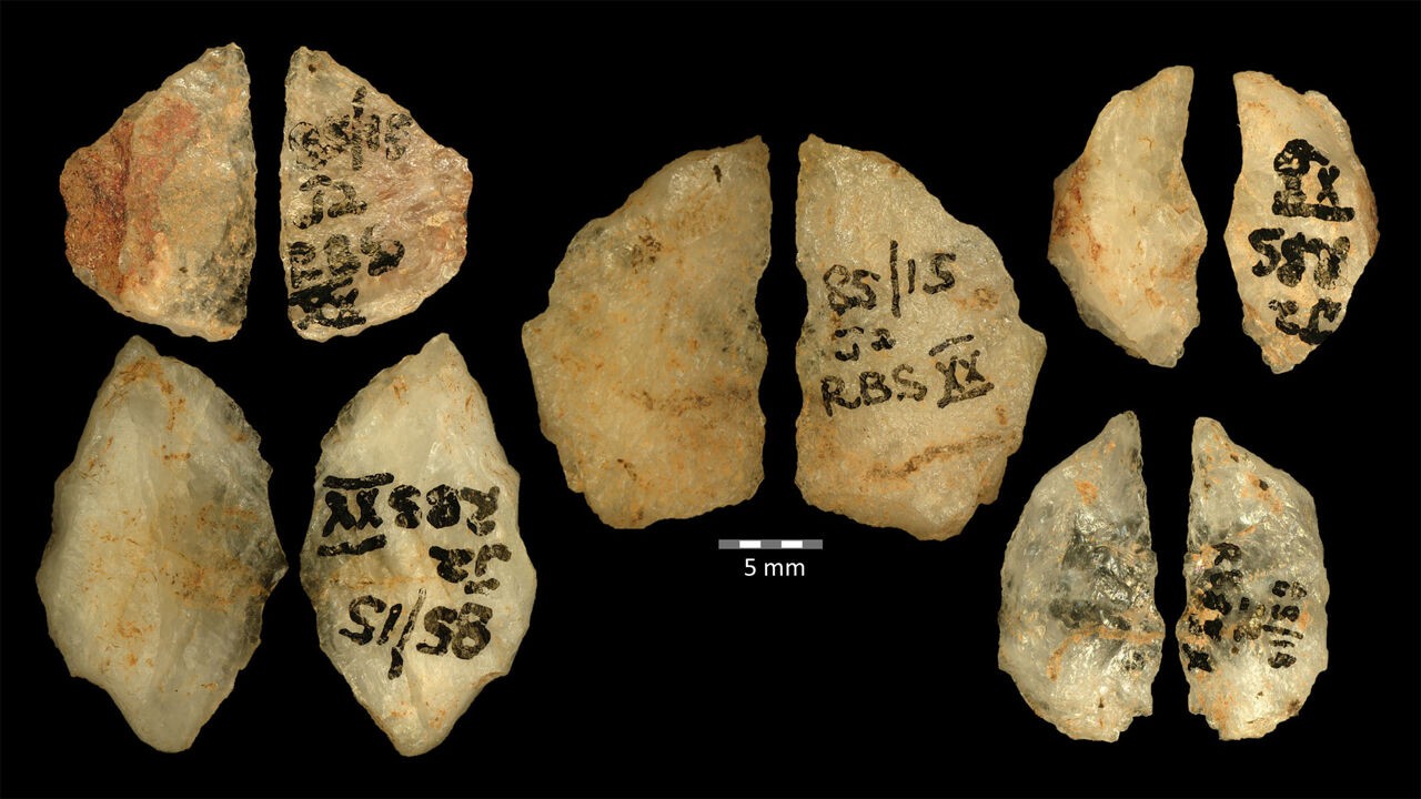 60.000 jaar geleden doopten onze voorouders al pijlen in gif: oudste vergiftigde pijlpunten tot nu toe ontdekt