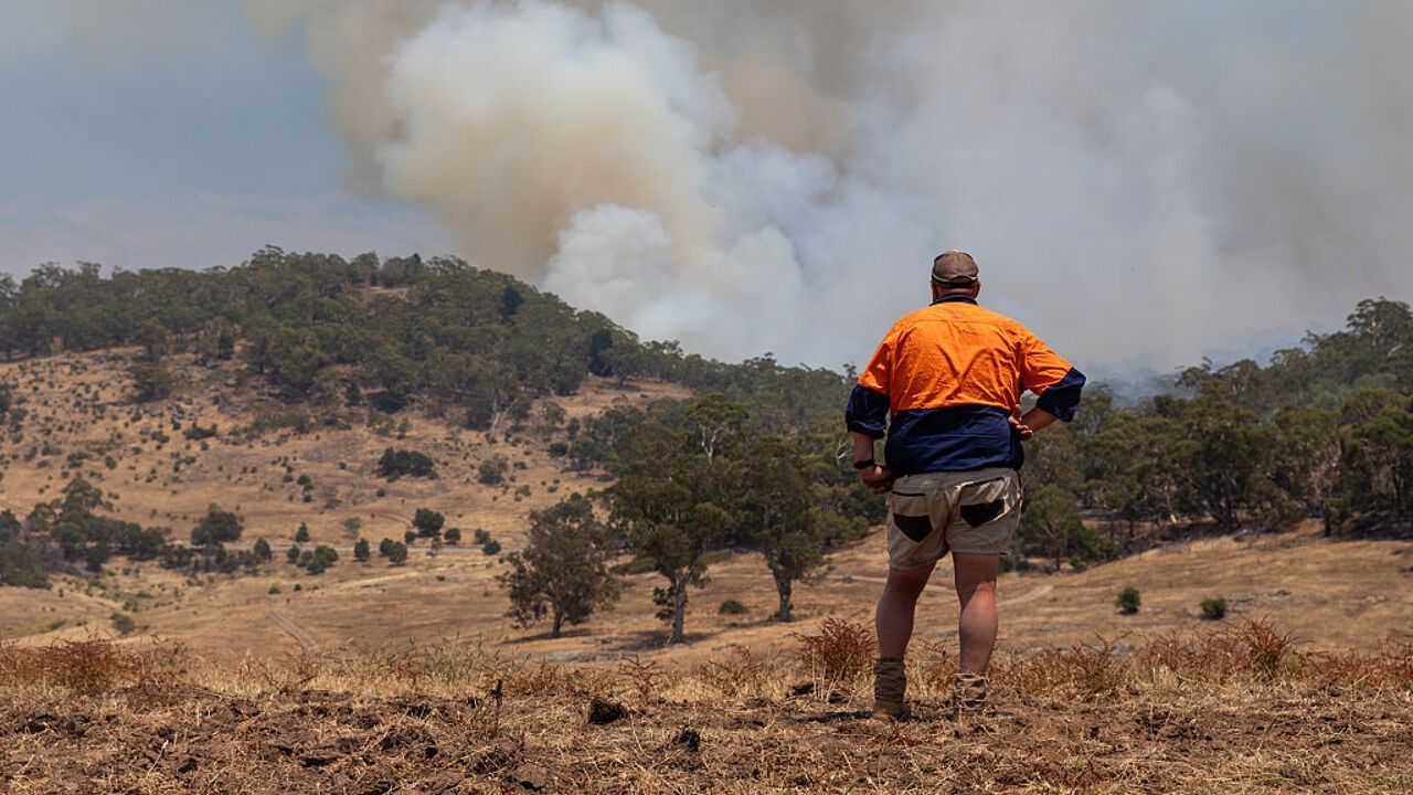 Australië kreunt onder hevigste bosbranden sinds 2020: al 350.000 hectare in de as gelegd