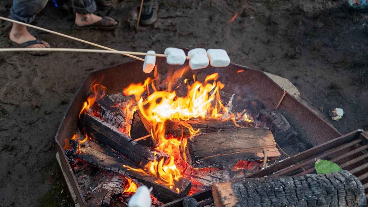 Franstalig België in de ban van onderzoek naar mogelijk kindermisbruik in vakantiecentrum voor bosklassen