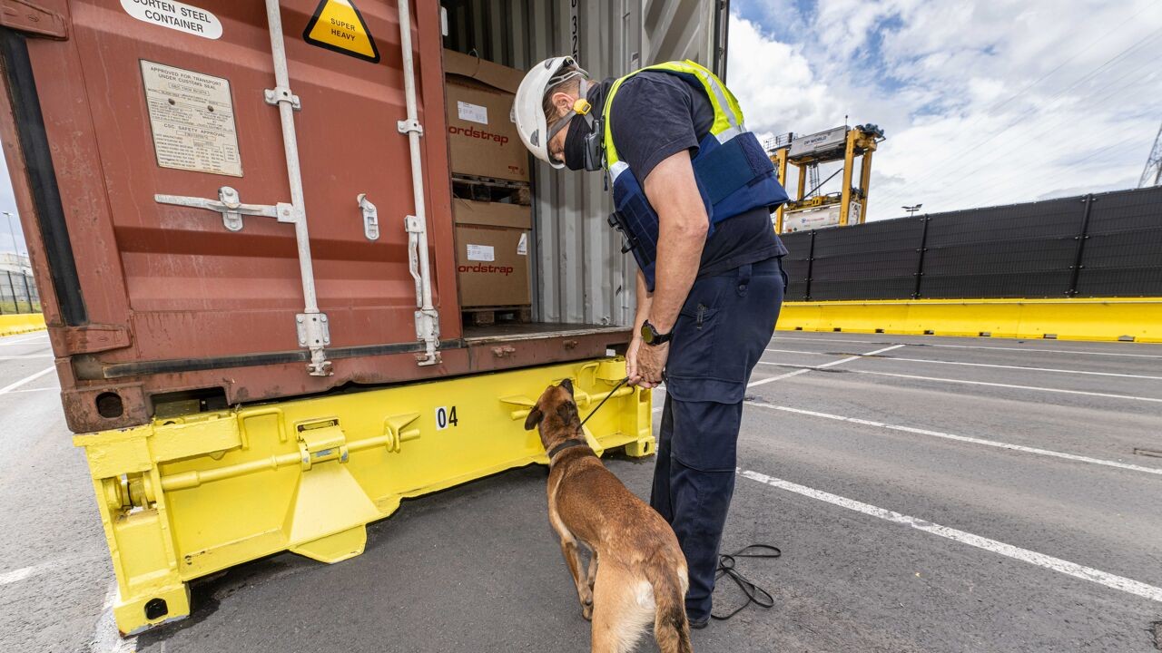 Minister Verlinden wil havenparket oprichten in strijd tegen drugscriminaliteit
