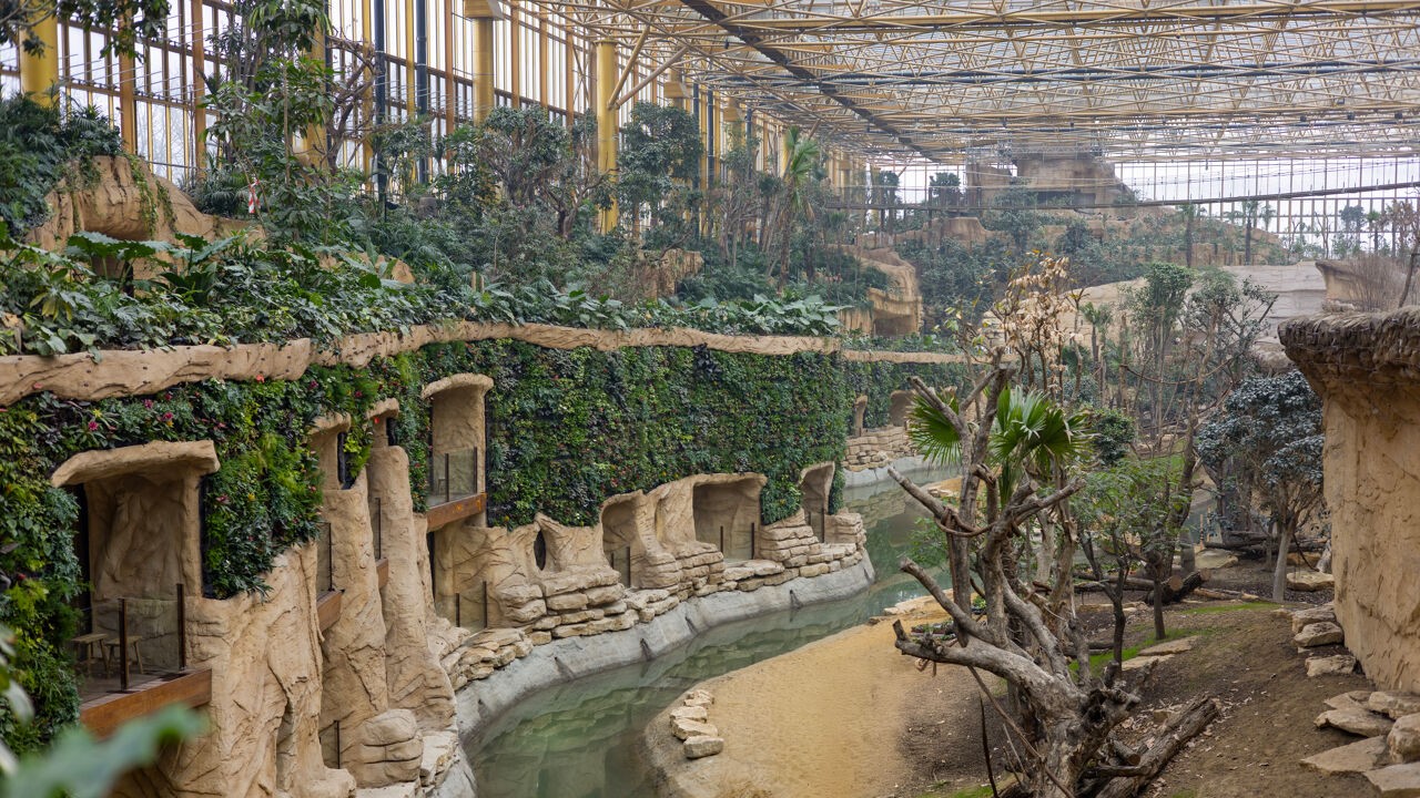 Na boze reacties: is meerprijs voor 'nieuwe wereld' Edenya in Pairi Daiza te verantwoorden?