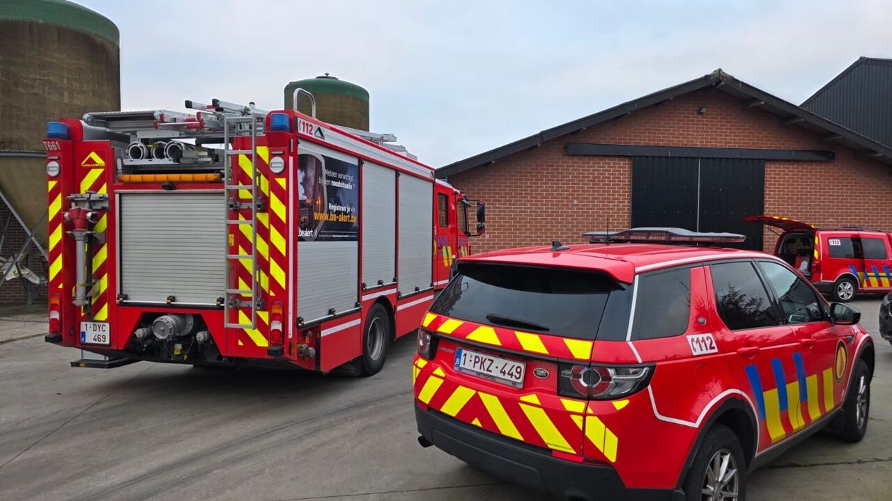 Man (39) overleden na bewerken van meststoffen op varkensbedrijf in Meerle