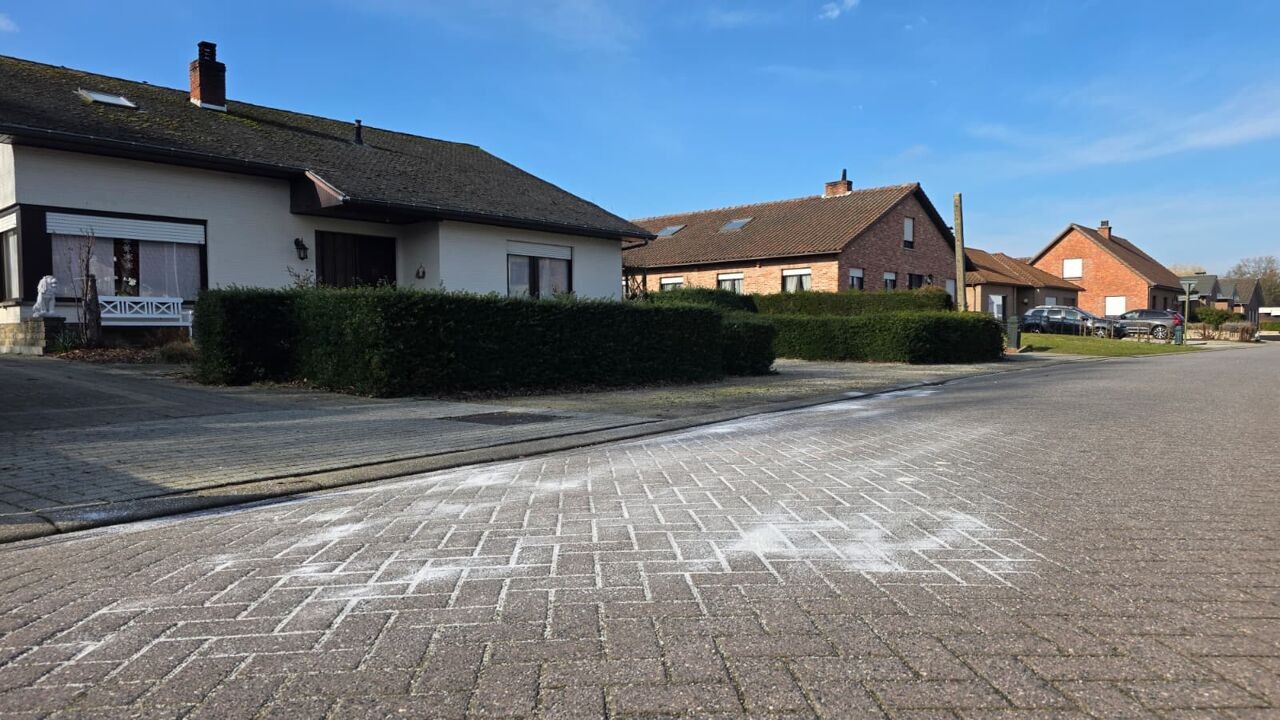 30-jarige man dood aangetroffen op straat in woonwijk in Retie