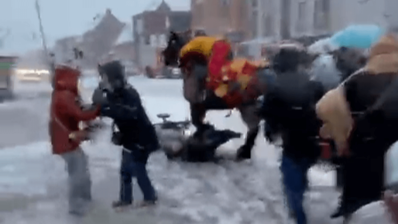 Ganzenrijden in Stabroek ontsnapt aan drama: paard slaat op hol en sleept buggy mee, die gelukkig leeg is