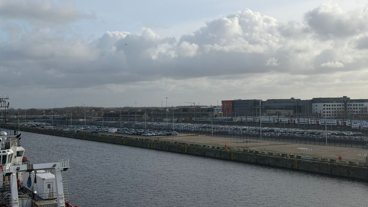 Haven Oostende wordt Europese draaischijf voor auto's: Duits bedrijf Mosolf stalt 4.000 wagens