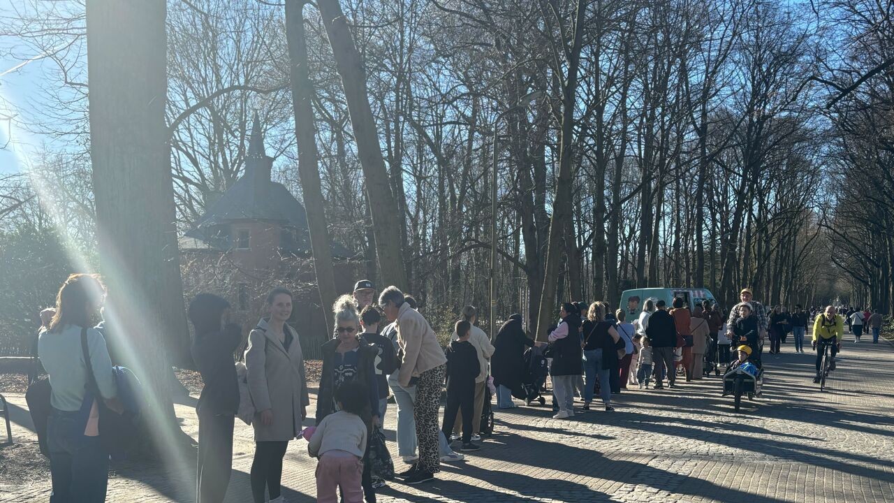 KMI meet 19,8 graden in Ukkel: warmste 25 februari sinds begin metingen is een feit