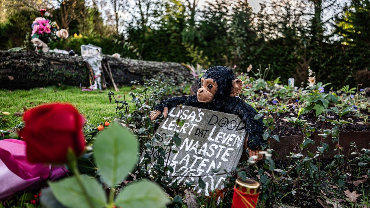 1.700 medewerkers van politie in Nederland keken zonder reden dossier van moord op Lisa in: "Onacceptabel dat dit is gebeurd"