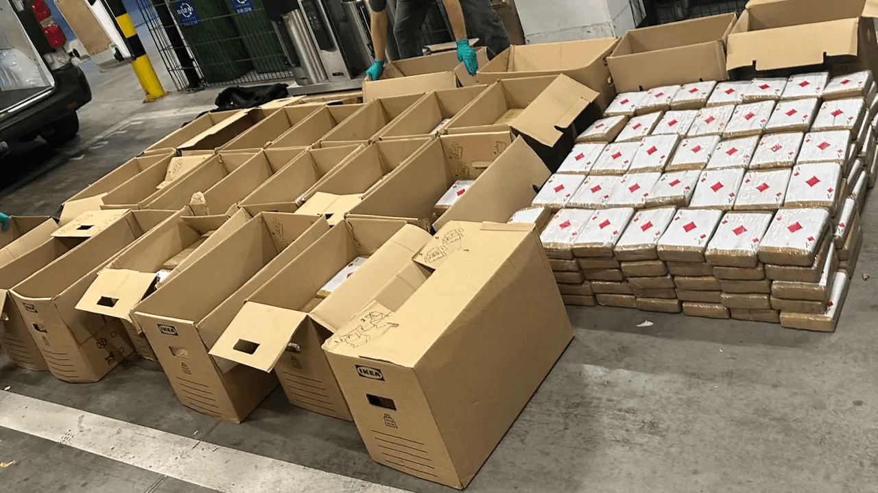 16 arrestaties bij "grootschalige operatie" tegen Ecuadoraans cocaïnekartel 'Los Lobos' in België, Ecuador en Nederland