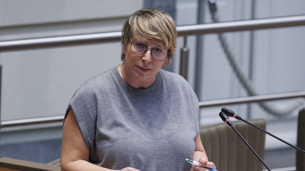 Meerderheid in Vlaams Parlement voor het afschaffen van de interlandelijke adoptie