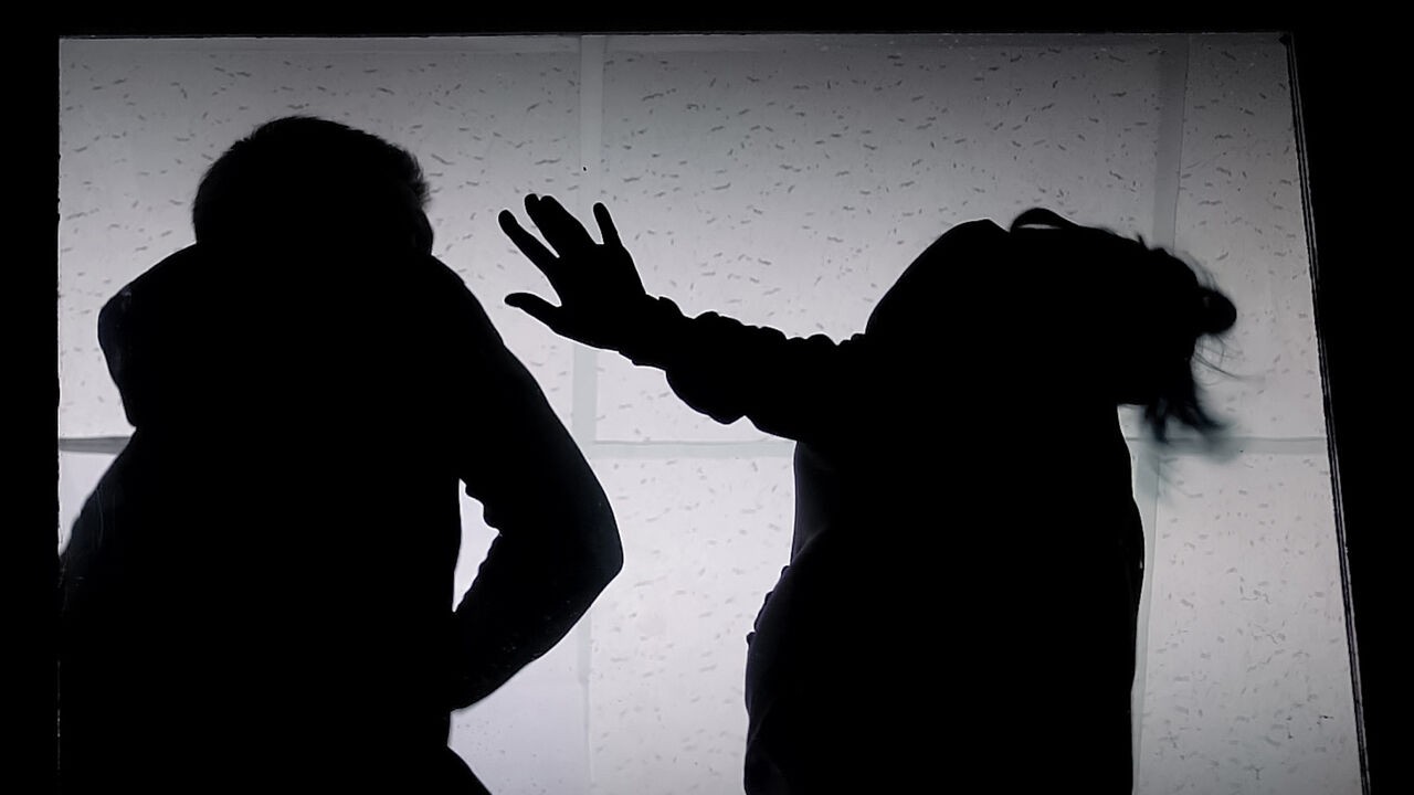 Per dag gemiddeld 185 dossiers over partnergeweld in ons land