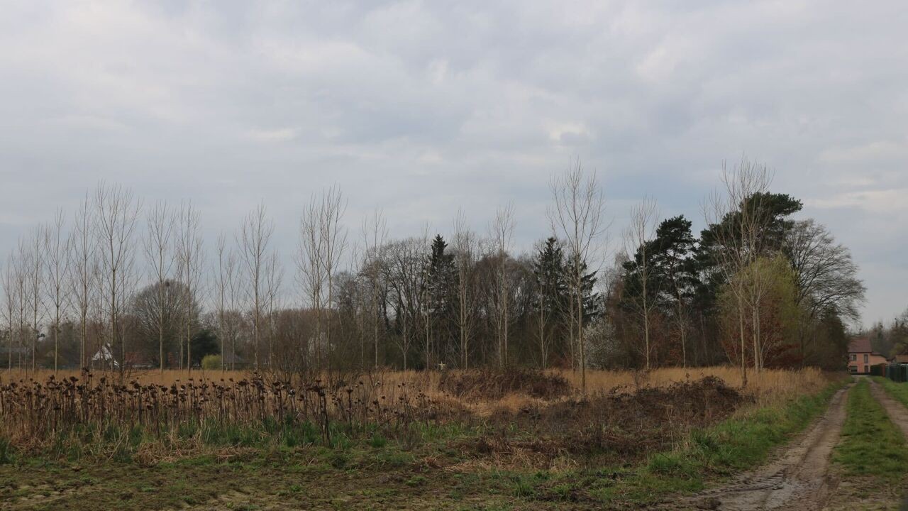 Omstreden kotbaas Manu Appeltans moet 60.000 euro boete betalen voor illegale bomenkap in Hoeselt en Kortessem