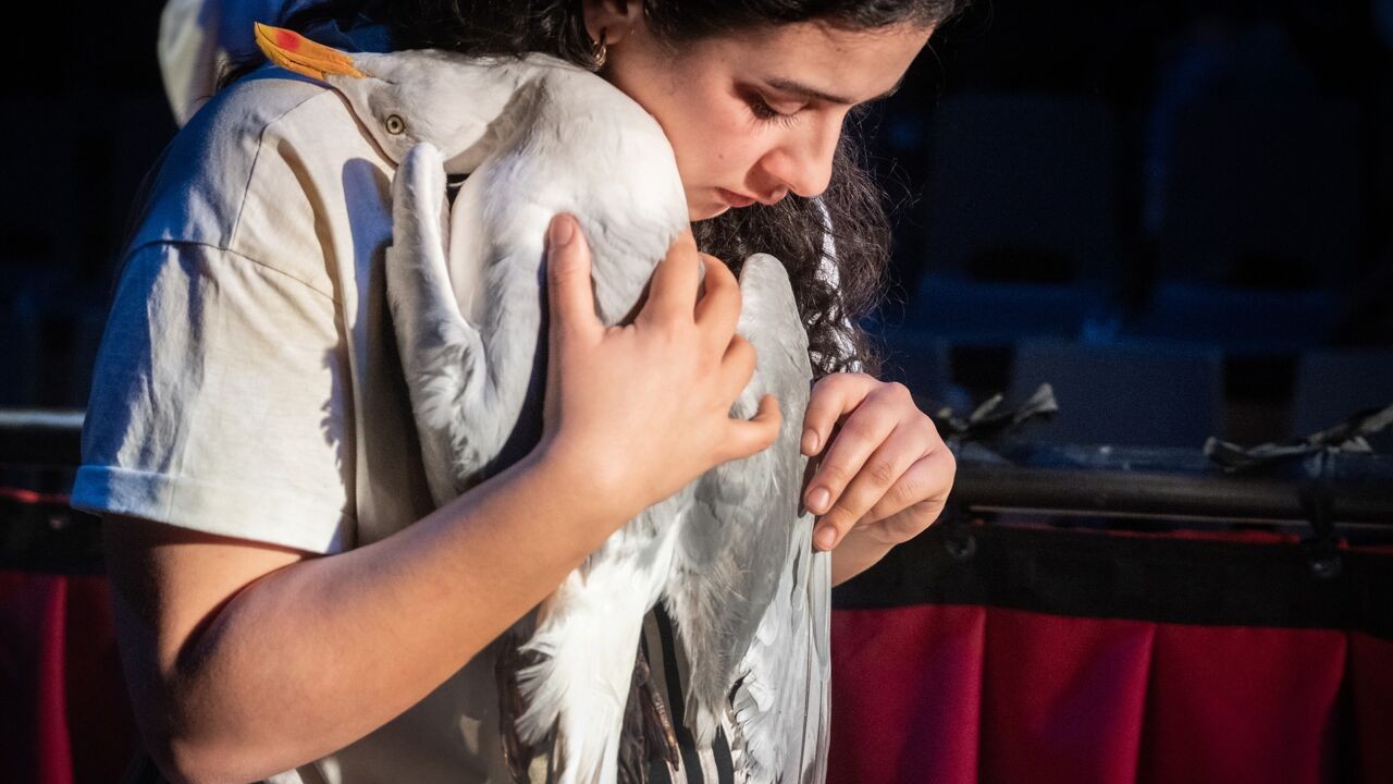 Theatervoorstelling in gebarentaal 'Meeuw' mag festival van Edinburgh openen: "Dove artiesten kunnen nu internationaal samenwerken"