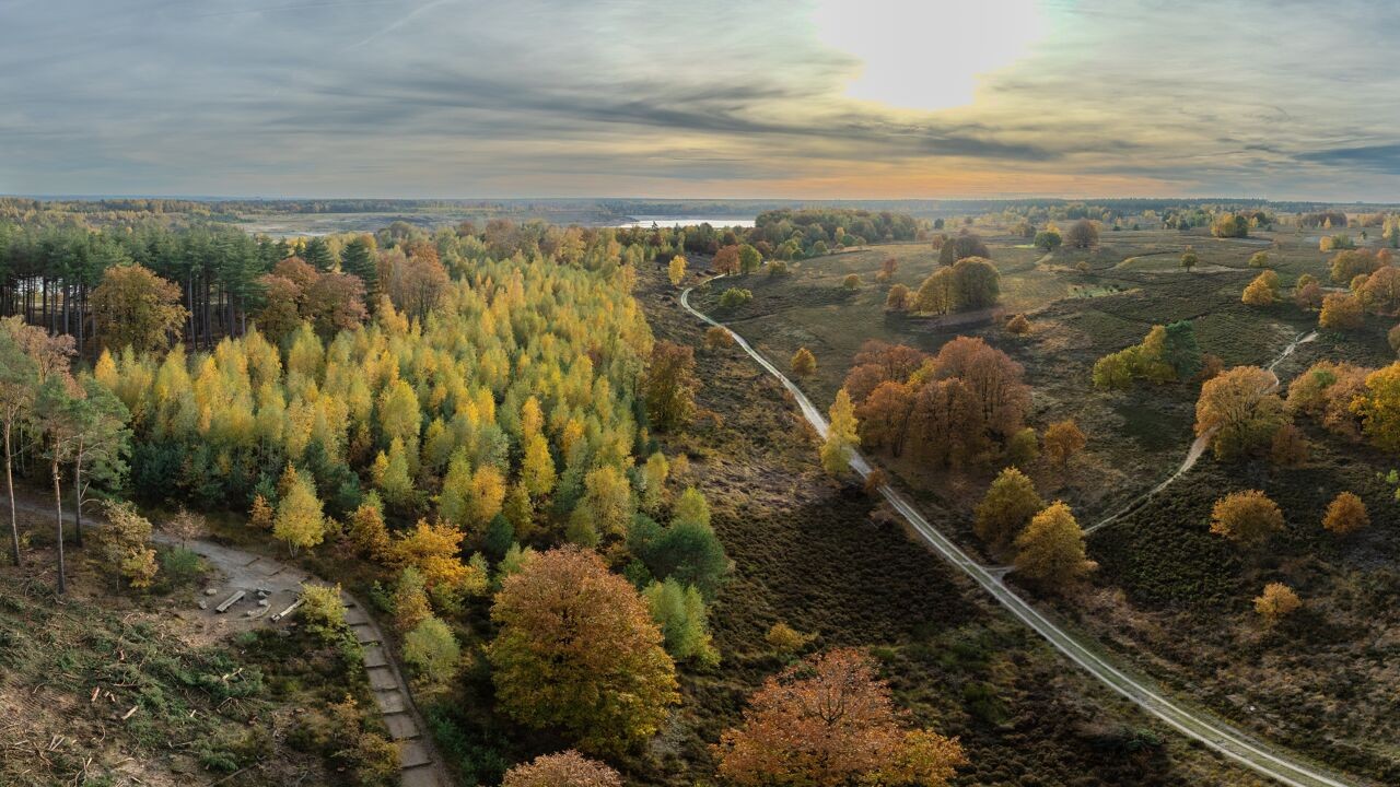 Hoe Vlaanderen met de Hoge Kempen 20 jaar geleden zijn eerste Nationale Park kreeg: "Werkelijkheid is beter dan de droom"