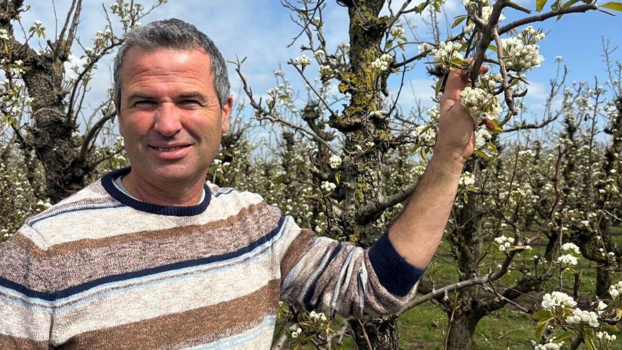 "Geniet van bloesems, maar laat fruitboer zijn werk doen": Boerenbond vraagt om in Hageland rekening te houden met fruitboeren