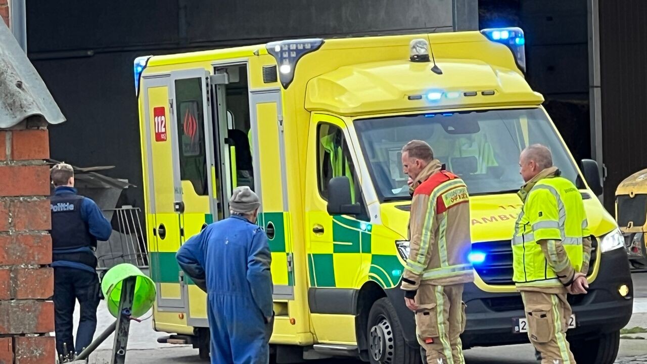 Landbouwster (67) uit Ruddervoorde zwaargewond na duw van koe