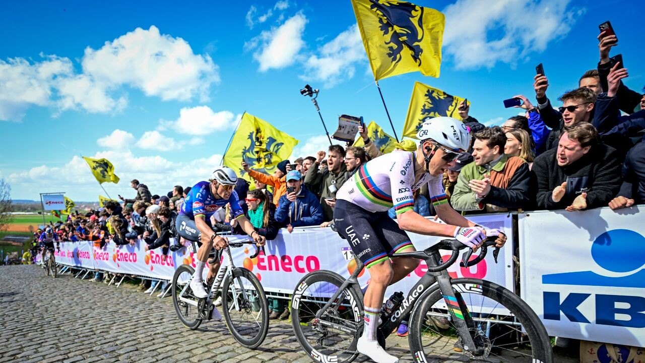 Pogacar en Evenepoel krijgen beiden boete na Ronde van Vlaanderen