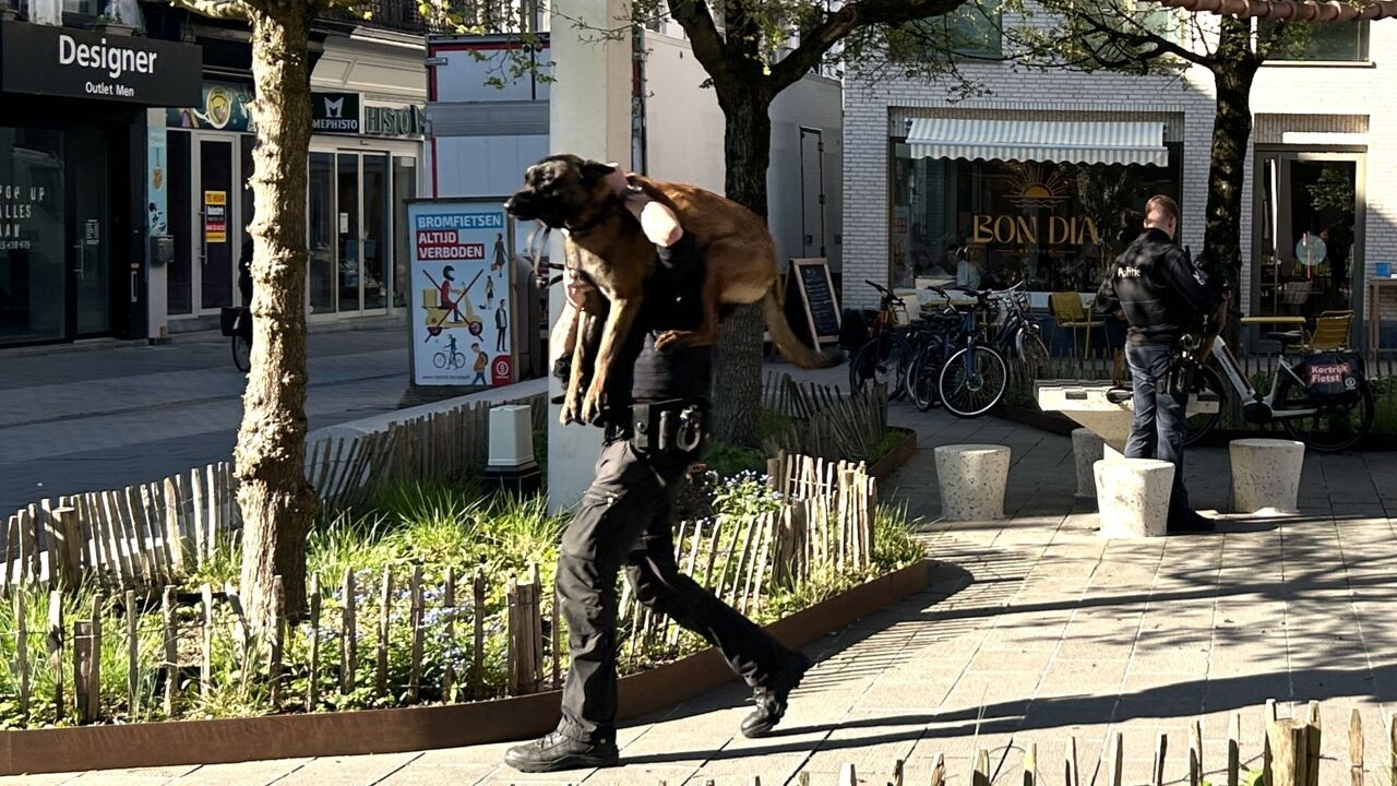 Waarom dragen agenten honden op hun schouder door centrum Kortrijk? "Belangrijke training"