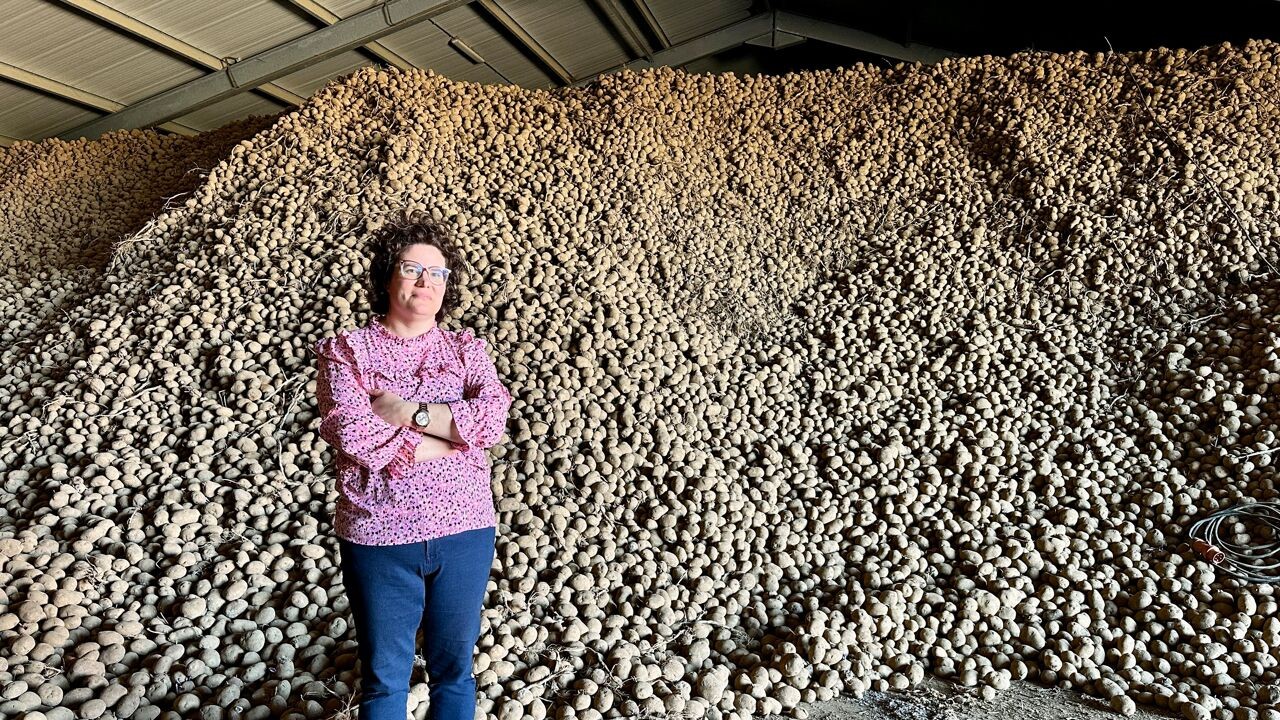 Burgemeester Marlutje Jackers van Herstappe zit met 2,5 miljoen kilo frietaardappelen die niemand wil