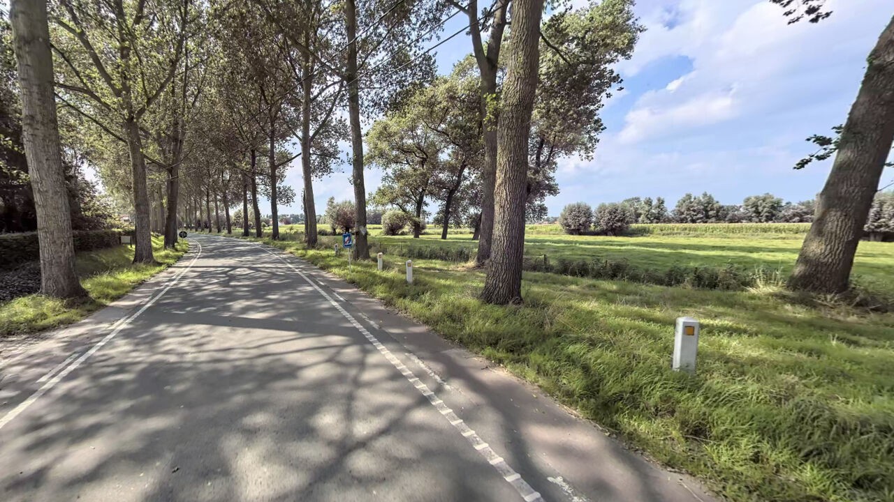 Man (52) uit Damme sterft na klap met auto tegen boom in Dudzele